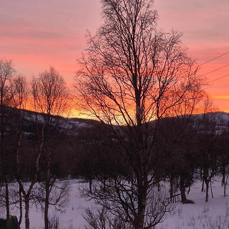 Utsikten Feriehus i Bakkeby Bagian luar foto
