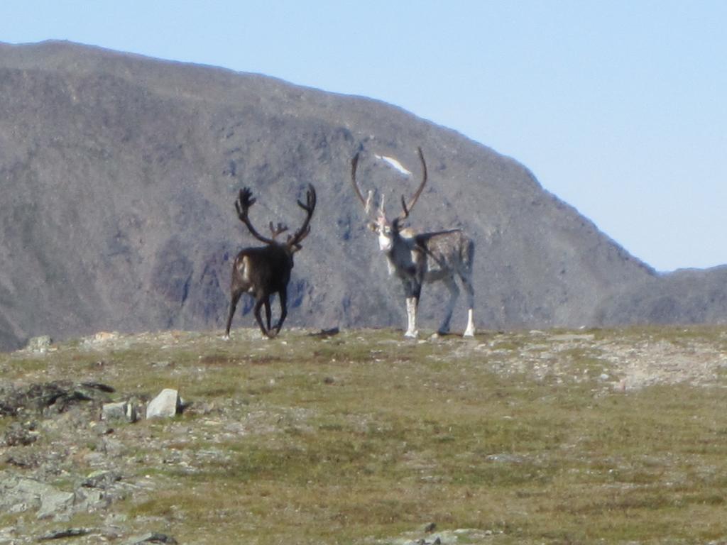 Utsikten Feriehus i Bakkeby Bagian luar foto