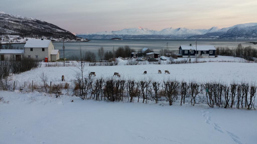 Utsikten Feriehus i Bakkeby Bagian luar foto