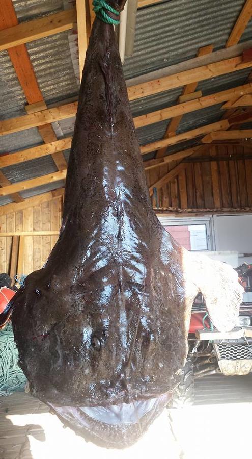 Utsikten Feriehus i Bakkeby Bagian luar foto